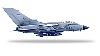 Kampfflugzeug vom Typ PA-200 Tornado freigestellt