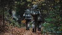 Soldaten, von hinten gesehen, laufen mit ihrer Ausrüstung einen Waldweg entlang