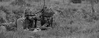 Schwarz-Weiß-Aufnahme von zwei Soldaten mit Funkgerät im Gelände liegend, im Hintergrund steht ein Panzer