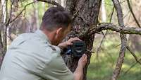 Ein Förster montiert eine Wildkamera zur Beobachtung von Wildtieren an einem Baum